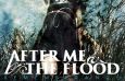 After Me, The Flood