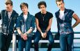 thevamps